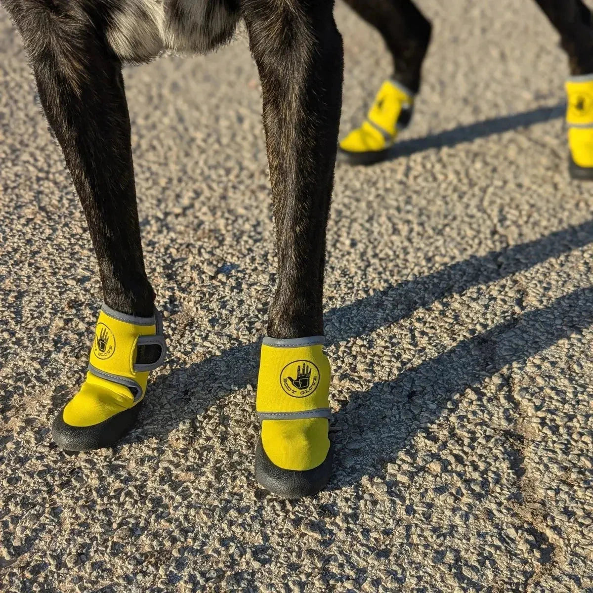 Body Glove Dog Booties - American Bark Bliss