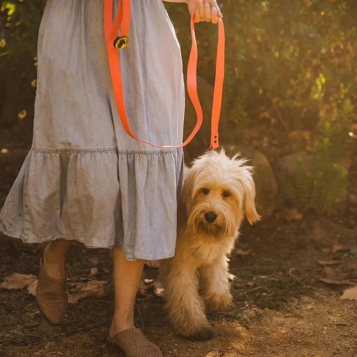 Body Glove Biothane Waterproof Leash - American Bark Bliss
