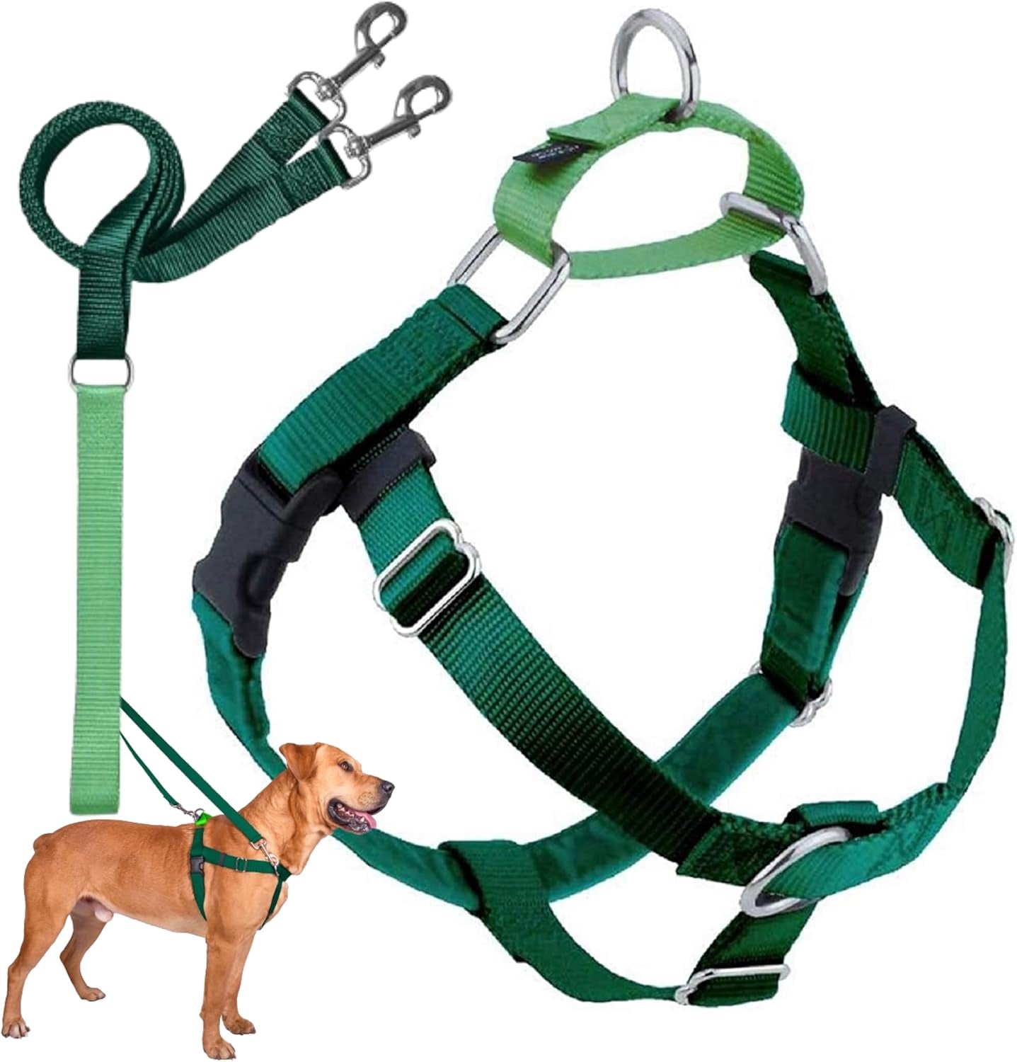 Freedom No Pull Dog Harness: Comfortable Design - American Bark Bliss