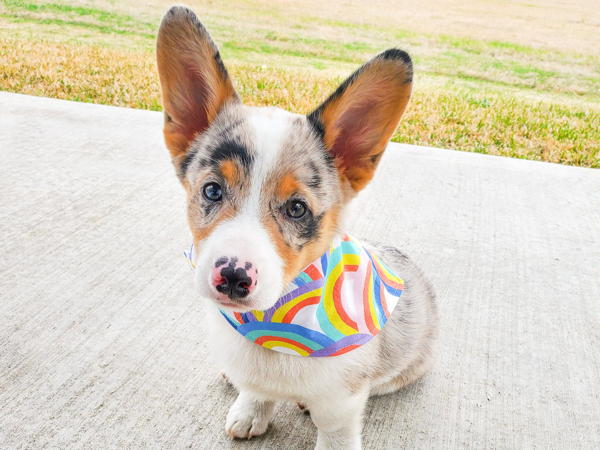 "Best Dog" Wedding Dog Bandana - American Bark Bliss