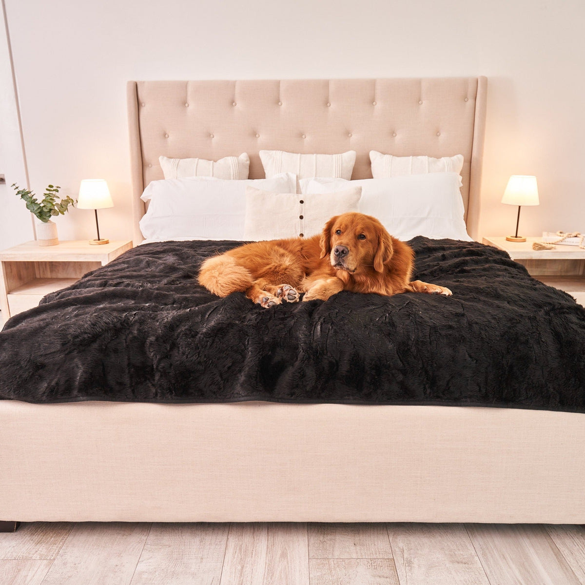 Waterproof Dog Blanket - Midnight Black Fur Throw - American Bark Bliss