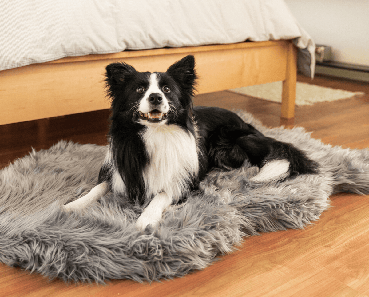 PupRug by Paw.com® Faux Fur Orthopedic Dog Bed - Curve Charcoal Grey - American Bark Bliss
