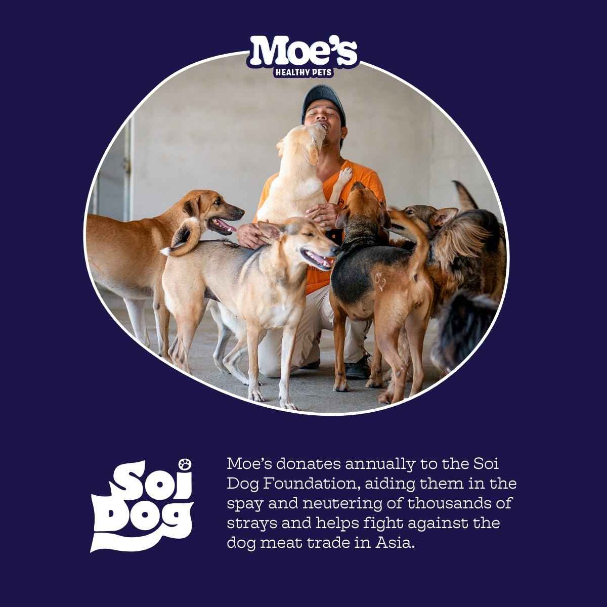 Dog Anxiety Chews for Relaxation and Comfort - American Bark Bliss