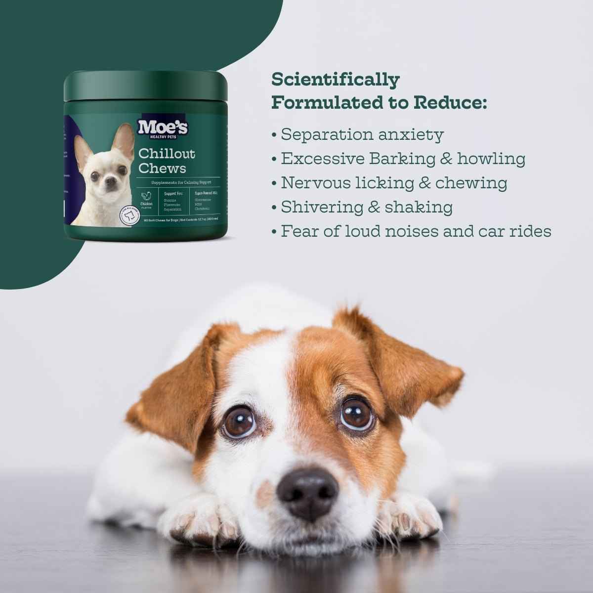 Dog Anxiety Chews for Relaxation and Comfort - American Bark Bliss
