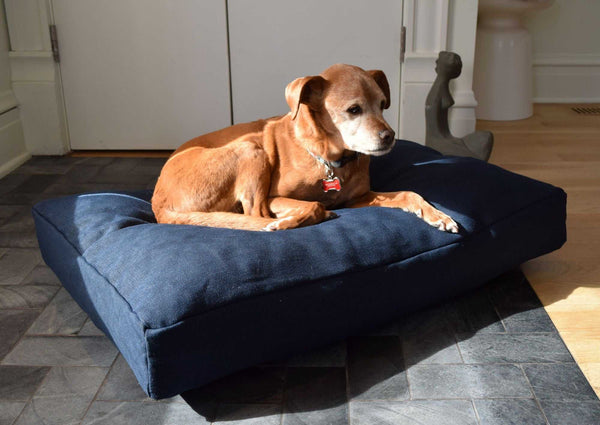 Premium Hemp Dog Bed - Lightweight CertiPUR Foam Fill - American Bark Bliss