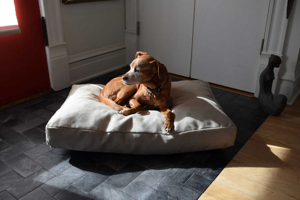 Cozy Hemp Dog Bed