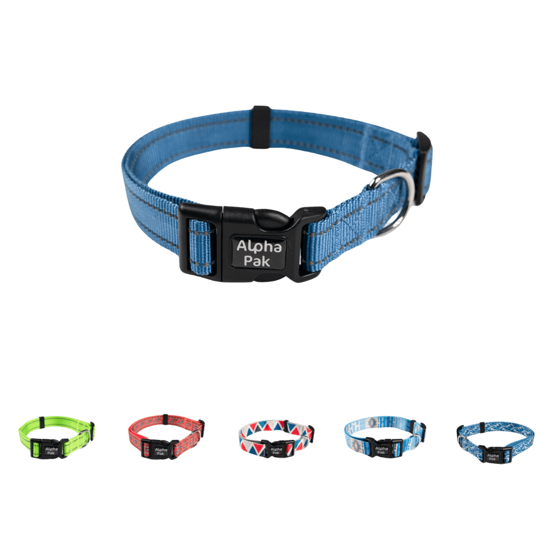 Comfortable Everyday Dog Collar - American Bark Bliss