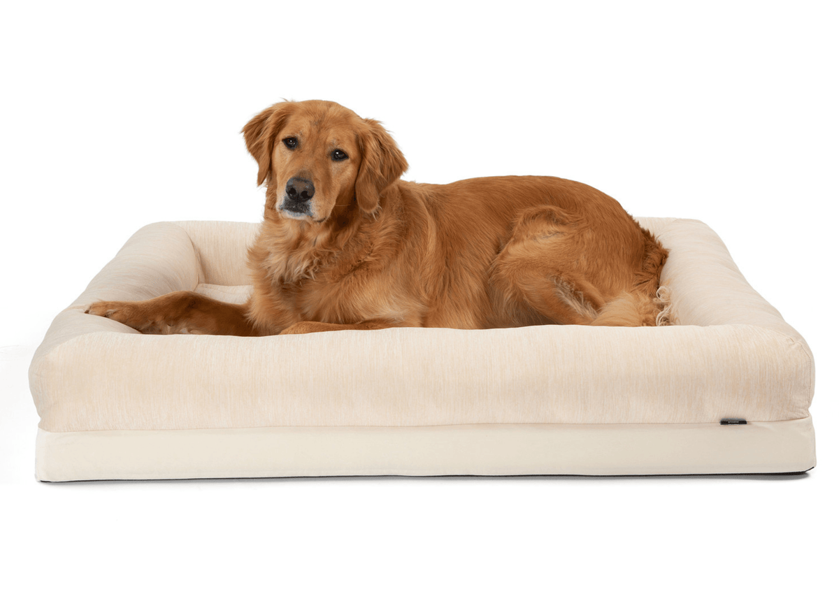 PupChill™ Cooling Dog Bed with 4 Bolsters - American Bark Bliss
