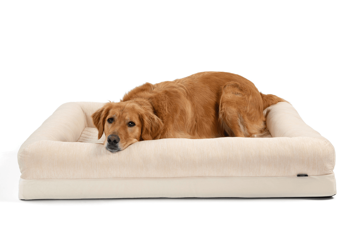 PupChill™ Cooling Dog Bed with 4 Bolsters - American Bark Bliss