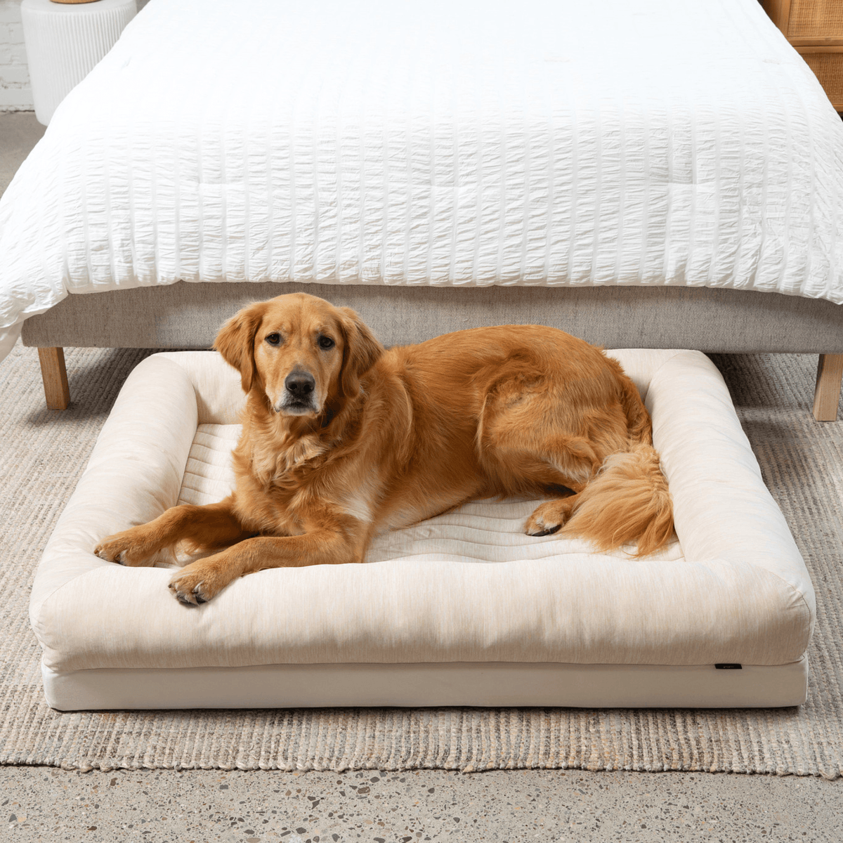 PupChill™ Cooling Dog Bed with 4 Bolsters - American Bark Bliss