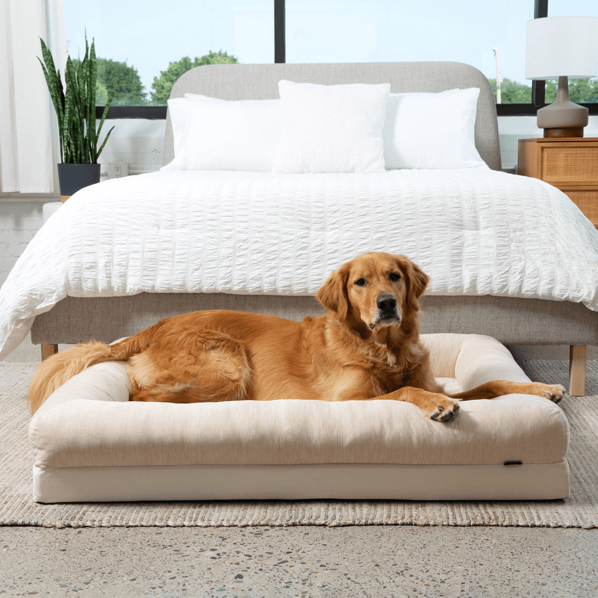 PupChill™ Cooling Dog Bed with 4 Bolsters - American Bark Bliss