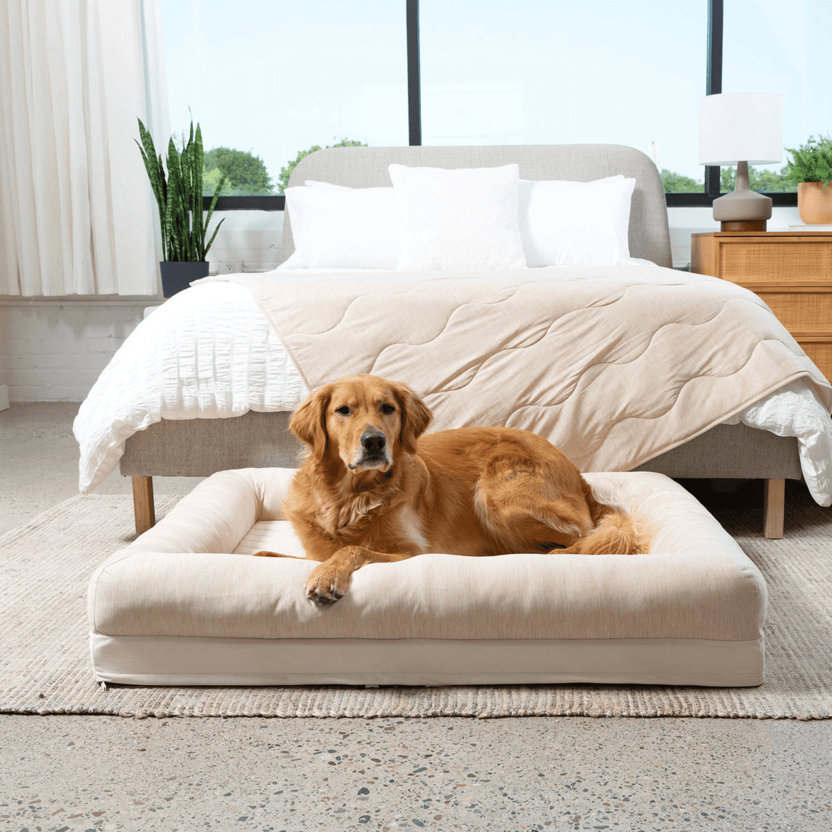 PupChill™ Cooling Dog Bed with 4 Bolsters - American Bark Bliss