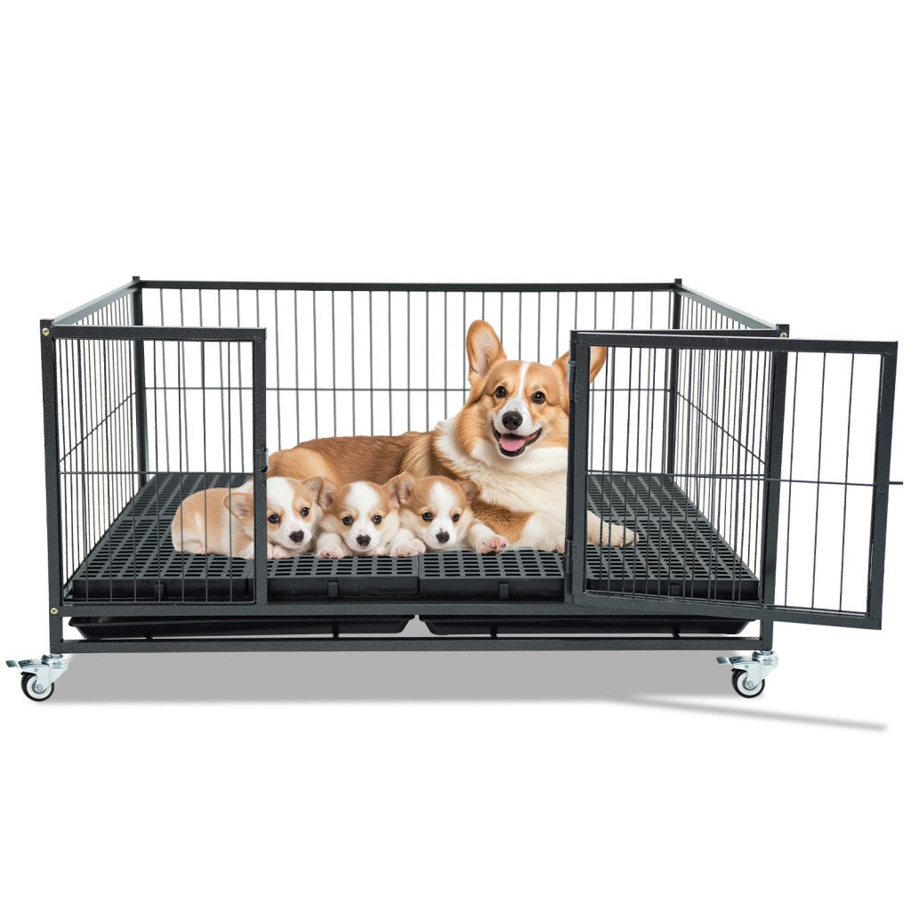 Large black metal dog pen with a Corgi and its puppies inside on a white background