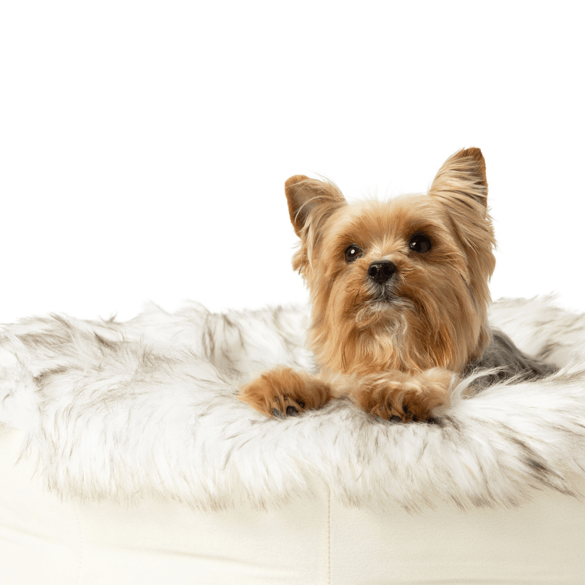 Faux Fur Donut Dog Bed for Cozy Canine Comfort - American Bark Bliss