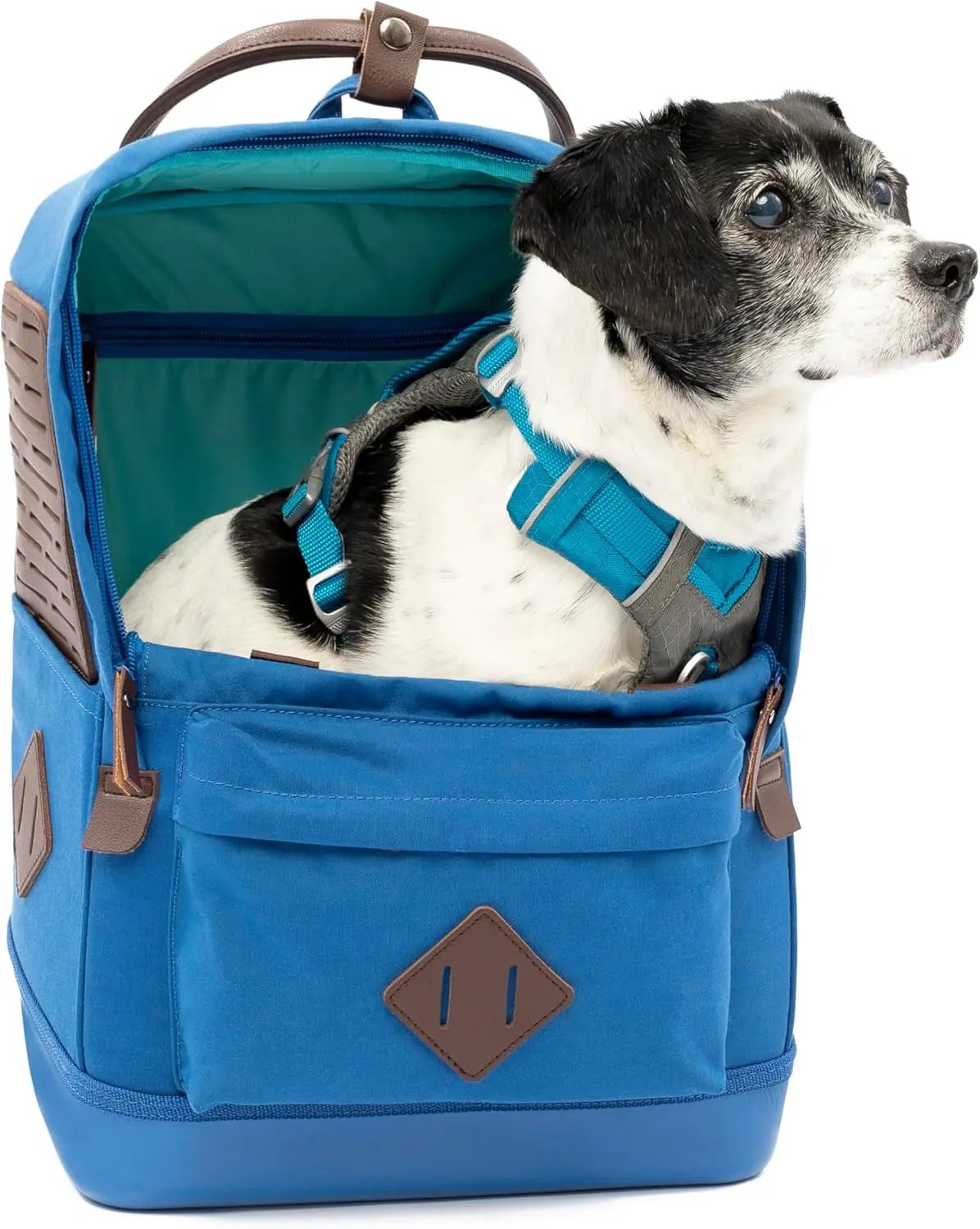 Nomad Carrier Backpack - Airline Approved Dog Bag for Travel - Stylish Pet Backpack with Waterproof Bottom - Lightweight for Hiking - Small Breed Dog Carrier with Tablet Sleeve - Blue - American Bark Bliss
