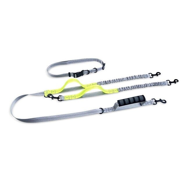 Handsfree Bungee Dog Leash for Running and Walking - American Bark Bliss