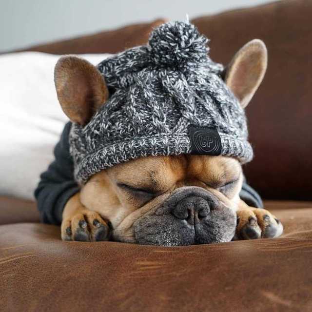 Knitted Pet Hats with Fluffy Ball for Winter - American Bark Bliss