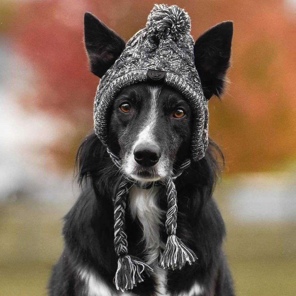 Knitted Pet Hats with Fluffy Ball for Winter - American Bark Bliss