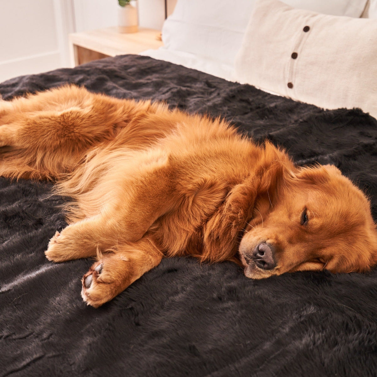 Waterproof Dog Blanket - Midnight Black Fur Throw - American Bark Bliss