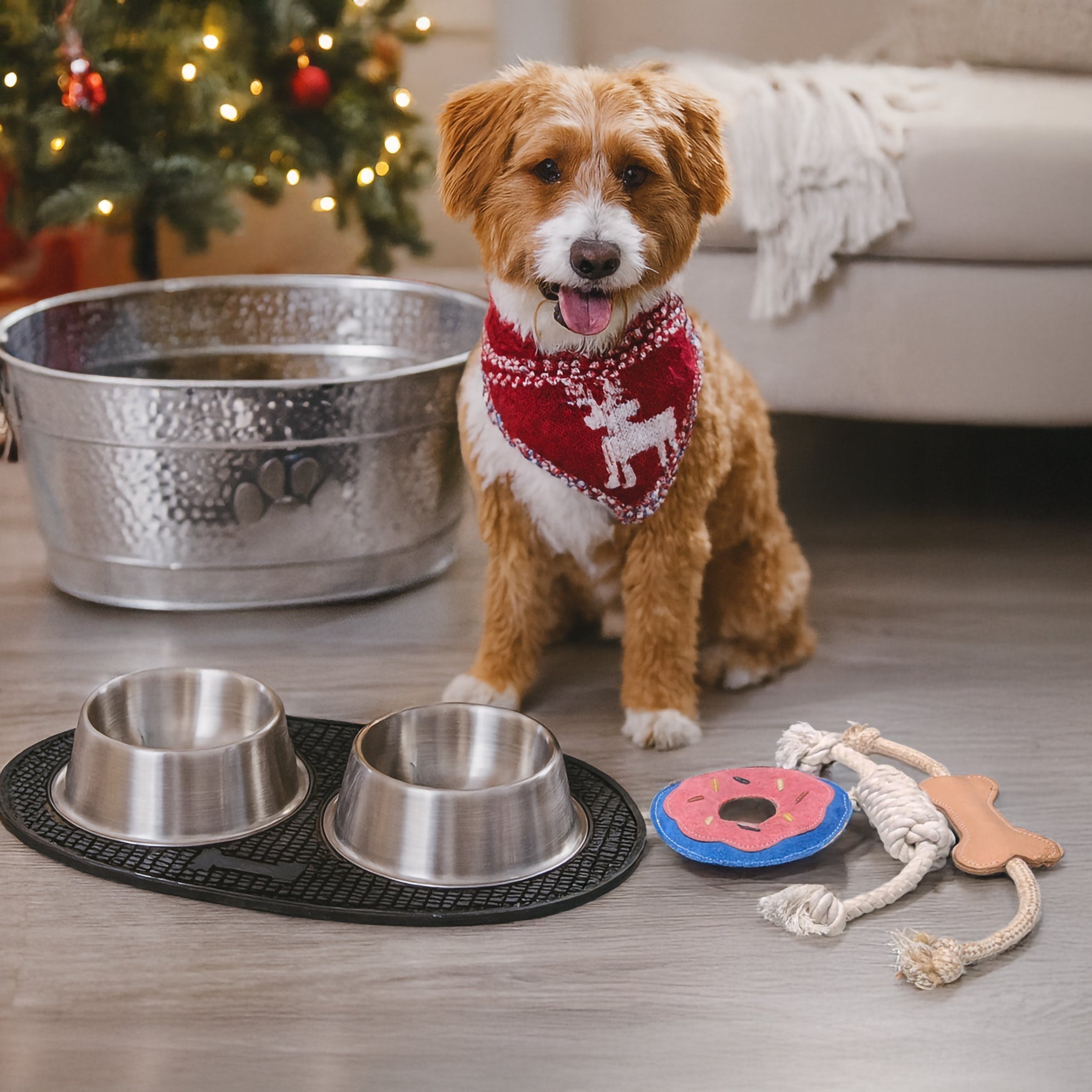 Play & Dine Dog Feeding & Toy Gift Set - Stainless Steel | BREKX