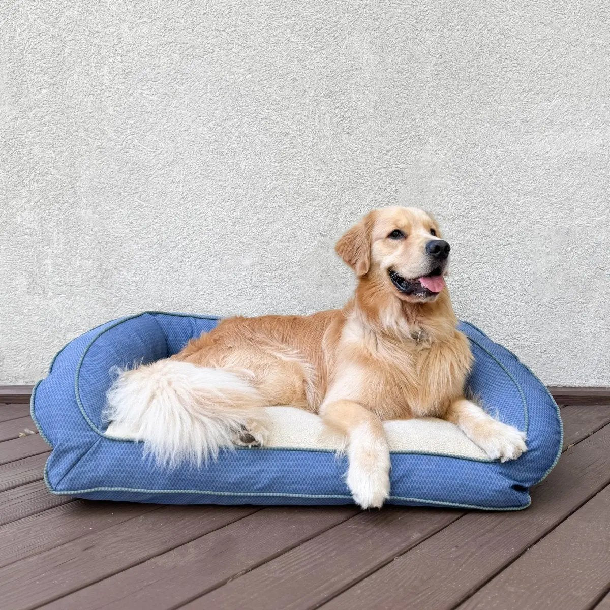 GreenDog Checkered Wave Bolster Bed - American Bark Bliss