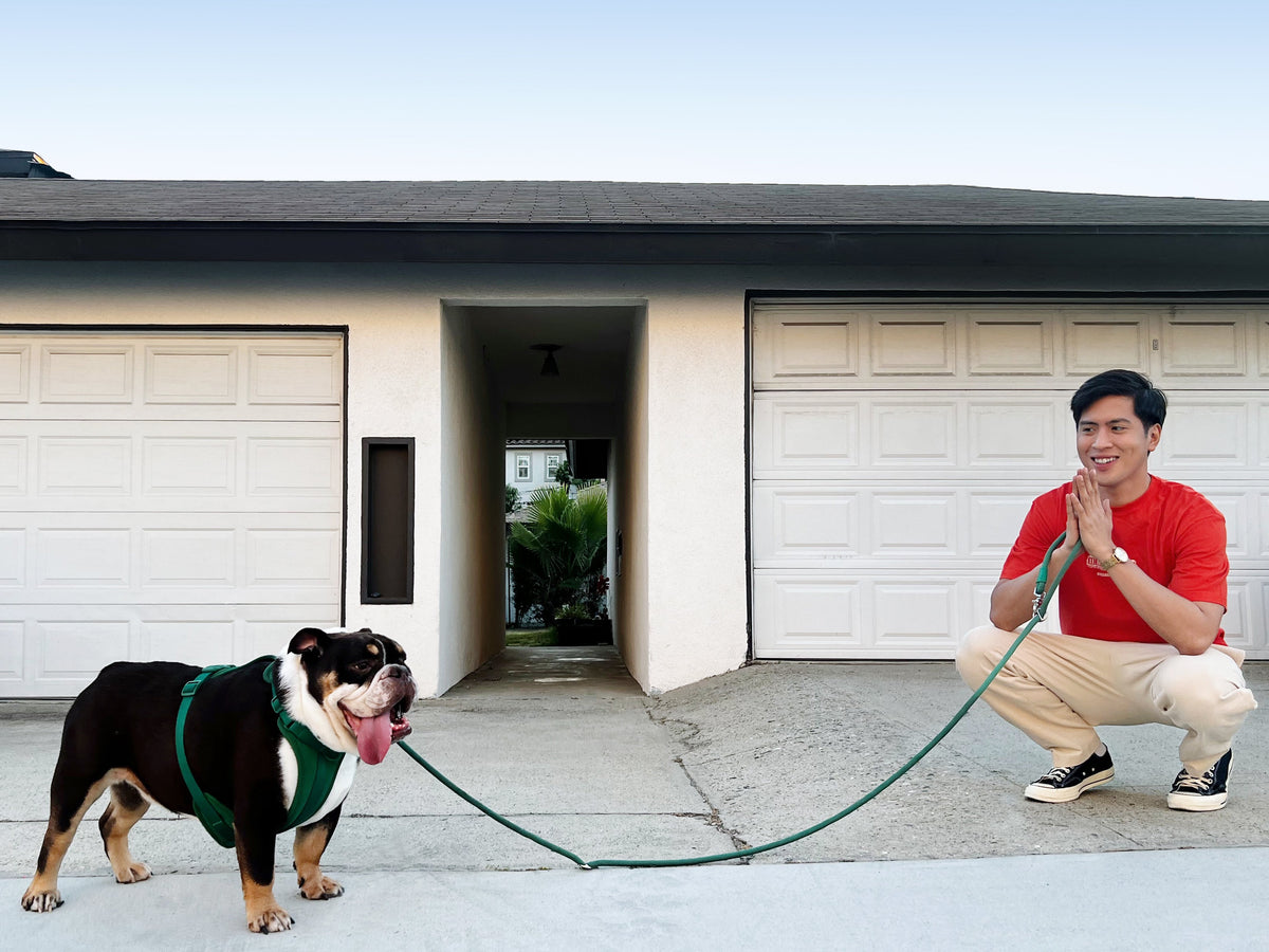 Kismet Hands-Free Dog Leash for Easy Walks - American Bark Bliss