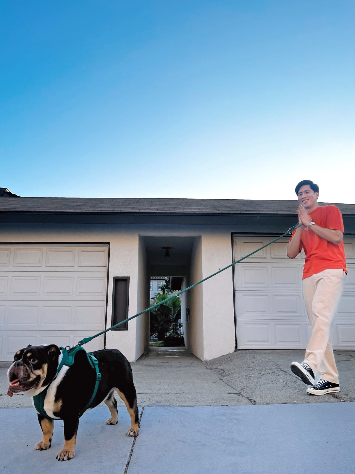 Kismet Hands-Free Dog Leash for Easy Walks - American Bark Bliss