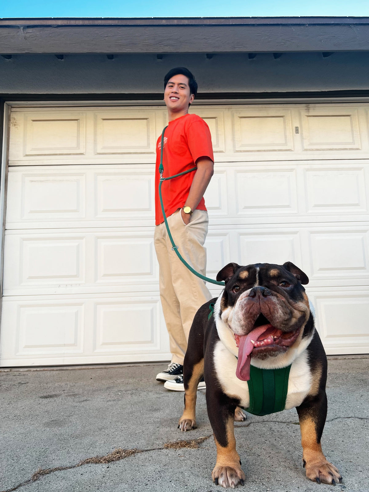 Kismet Hands-Free Dog Leash for Easy Walks - American Bark Bliss
