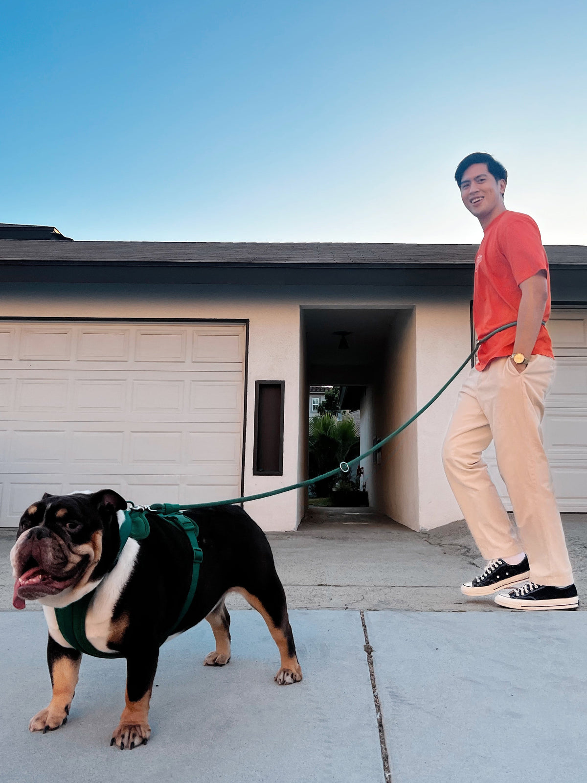 Kismet Hands-Free Dog Leash for Easy Walks - American Bark Bliss