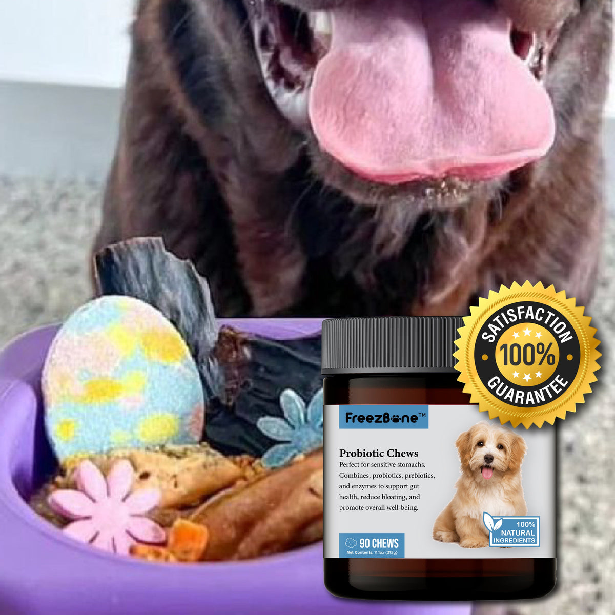 Probiotic Chews (90 Chews)