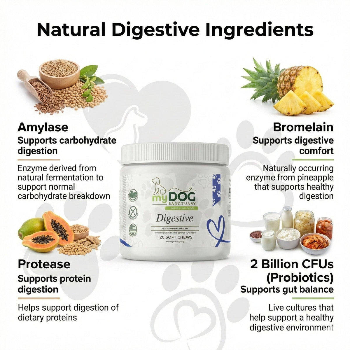 Gut Garden Digestive Support Chews