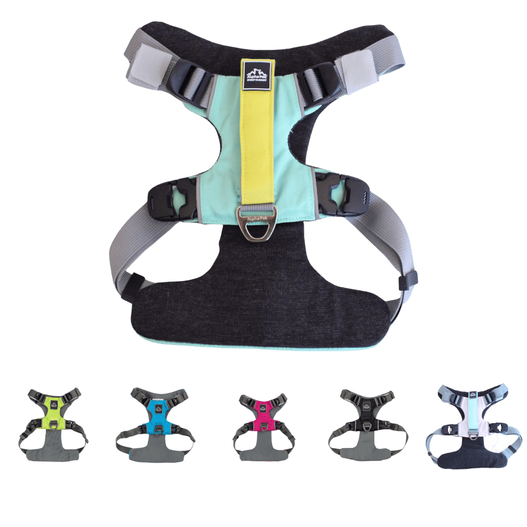 Best Adventure Harness for Everyday Dog Walks - American Bark Bliss