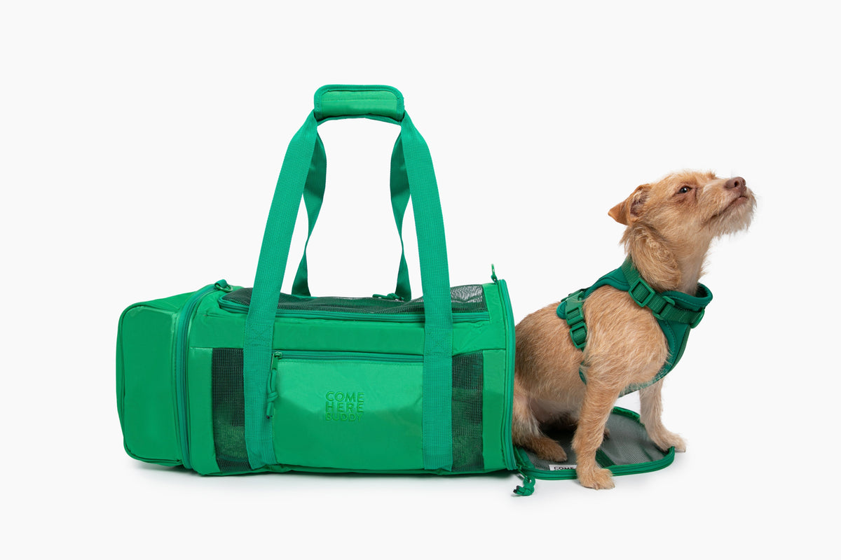 Airline-Compliant Pet Carrier for Convenient Travel - American Bark Bliss