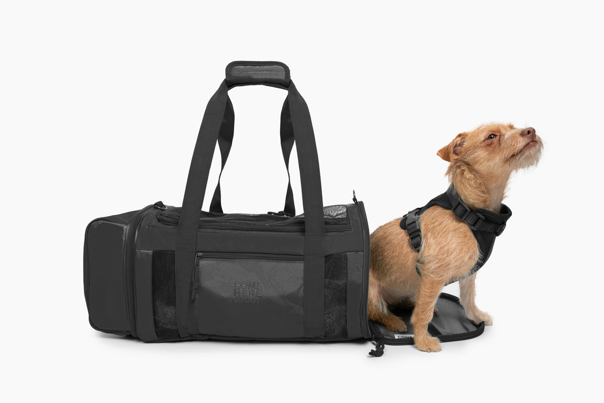 Airline-Compliant Pet Carrier for Convenient Travel - American Bark Bliss