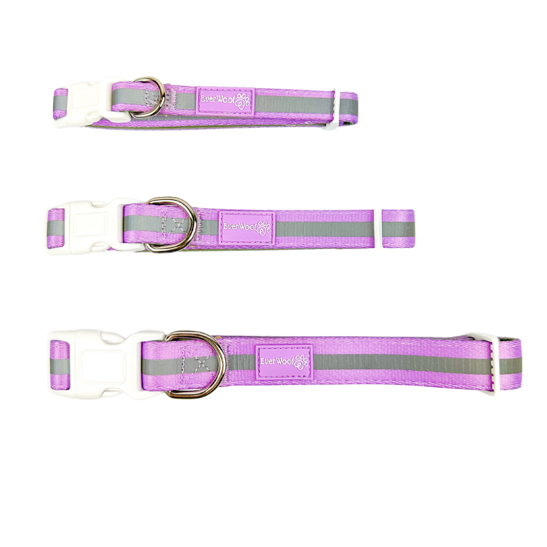 Shine Bright - Amethyst Collar - American Bark Bliss