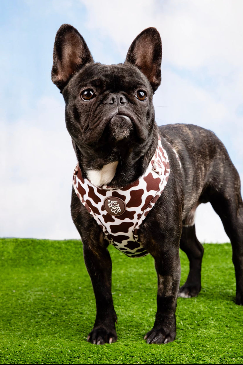 Chocolate Cow Adjustable Harness - American Bark Bliss