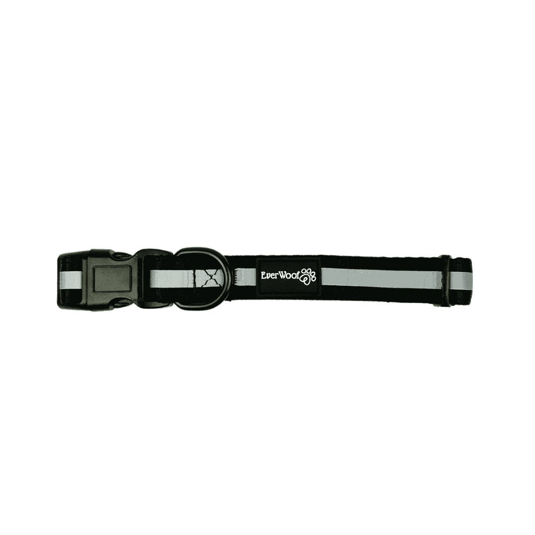 Shine Bright - Obsidian Collar - American Bark Bliss