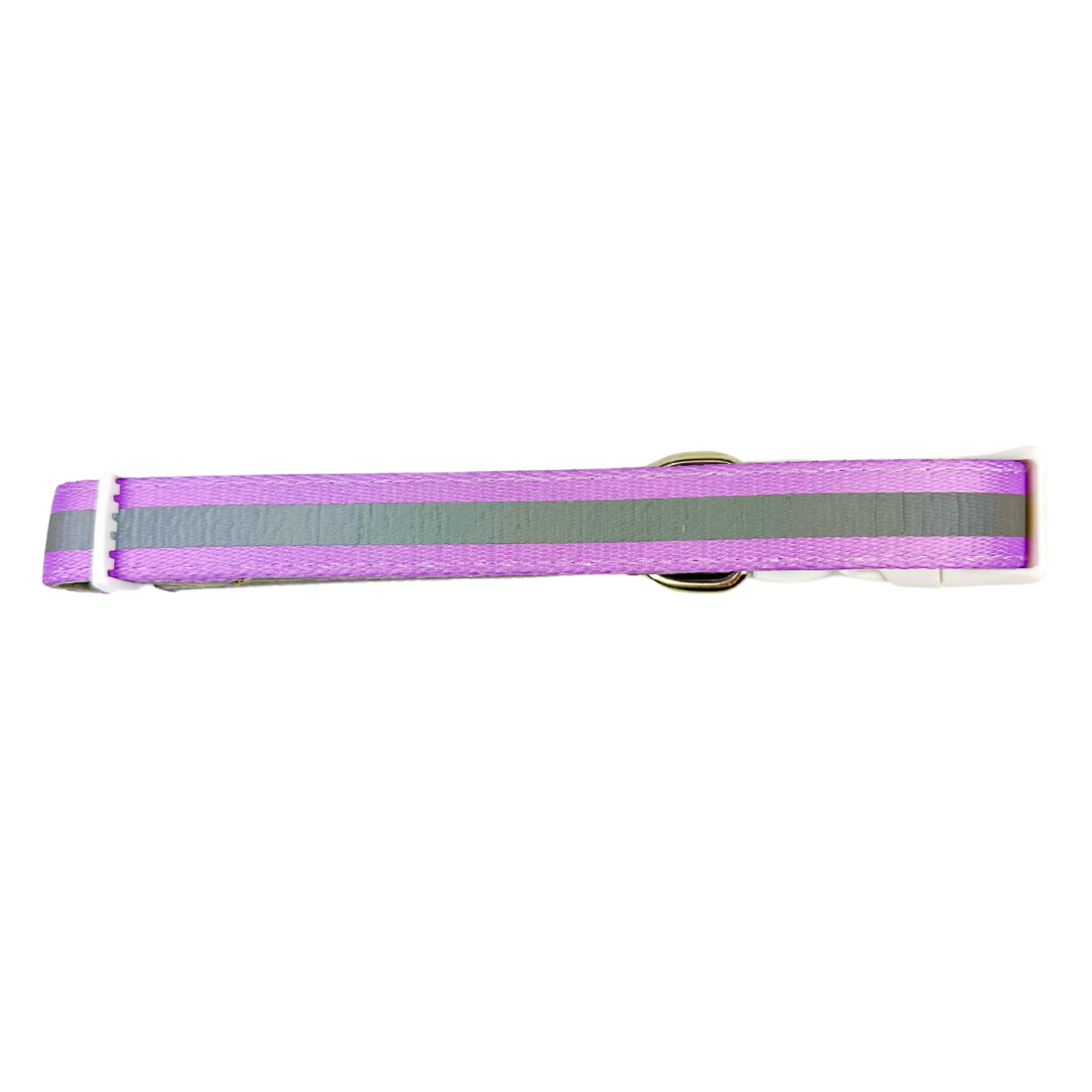 Shine Bright - Amethyst Collar - American Bark Bliss