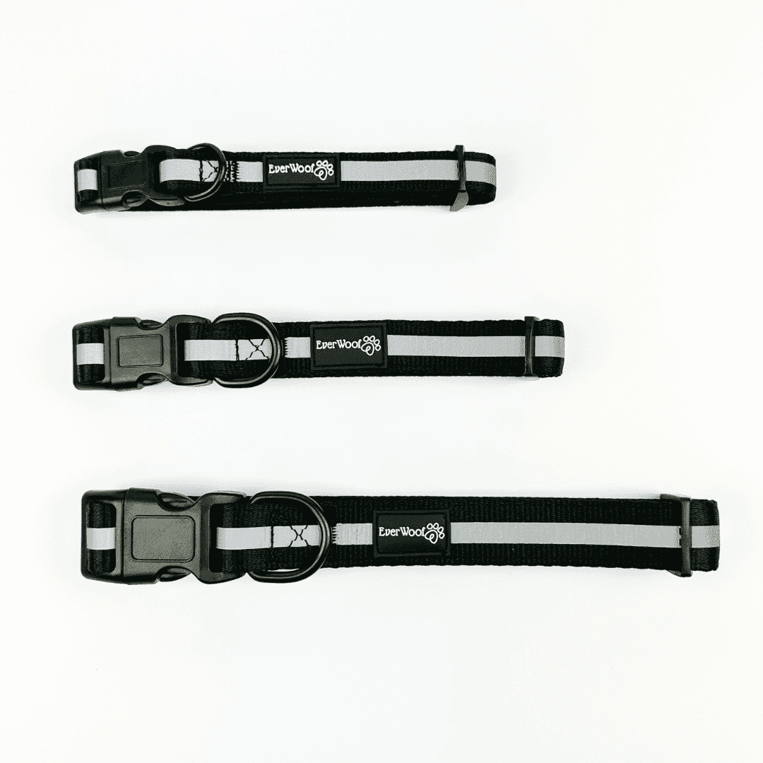 Shine Bright - Obsidian Collar - American Bark Bliss
