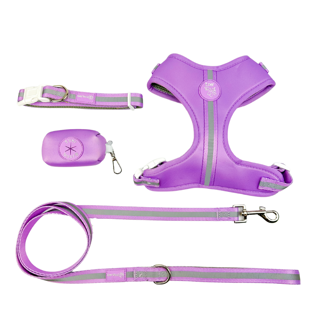 Shine Bright - Amethyst Adjustable Harness - American Bark Bliss