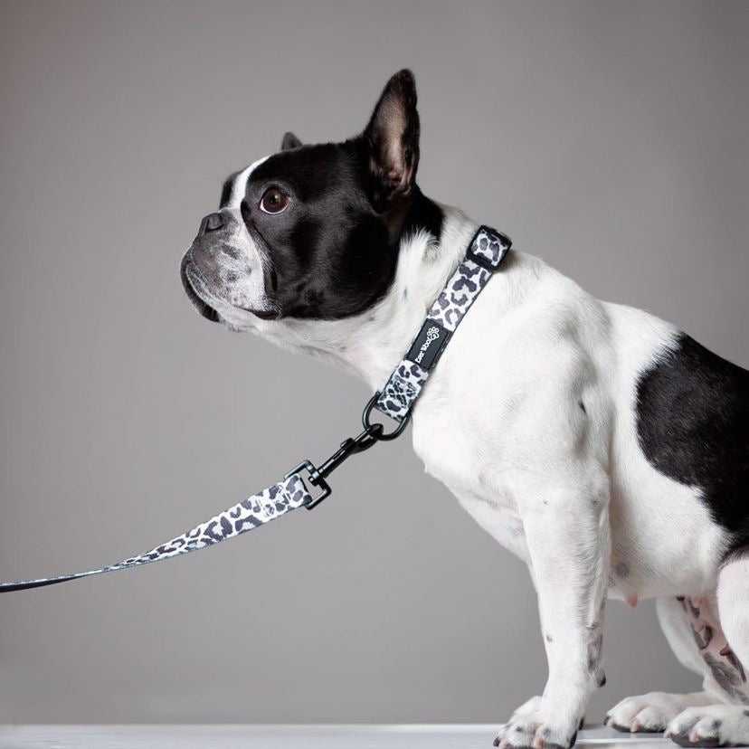 Ever So Wild Collar - American Bark Bliss