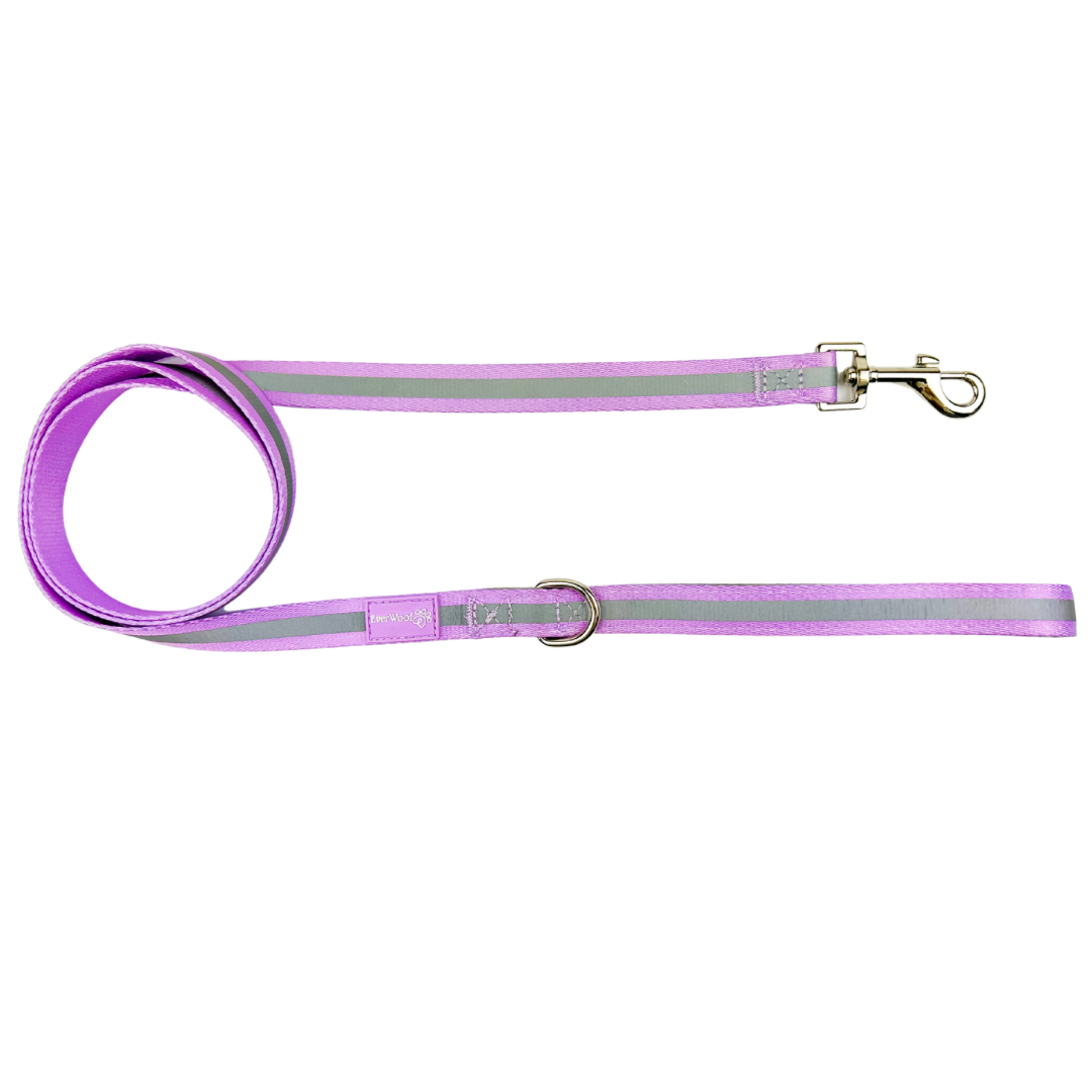 Shine Bright - Amethyst Leash - American Bark Bliss