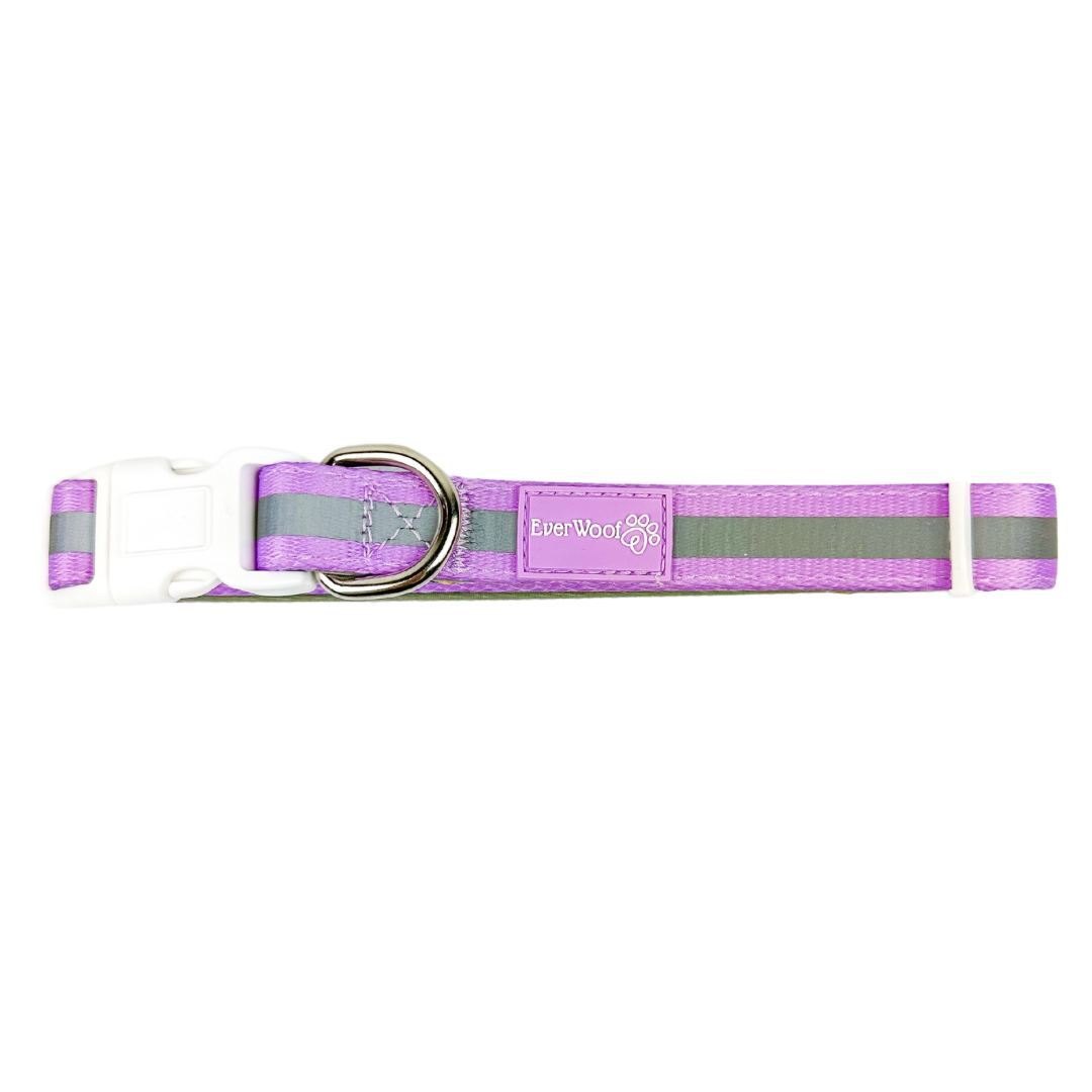 Shine Bright - Amethyst Collar - American Bark Bliss