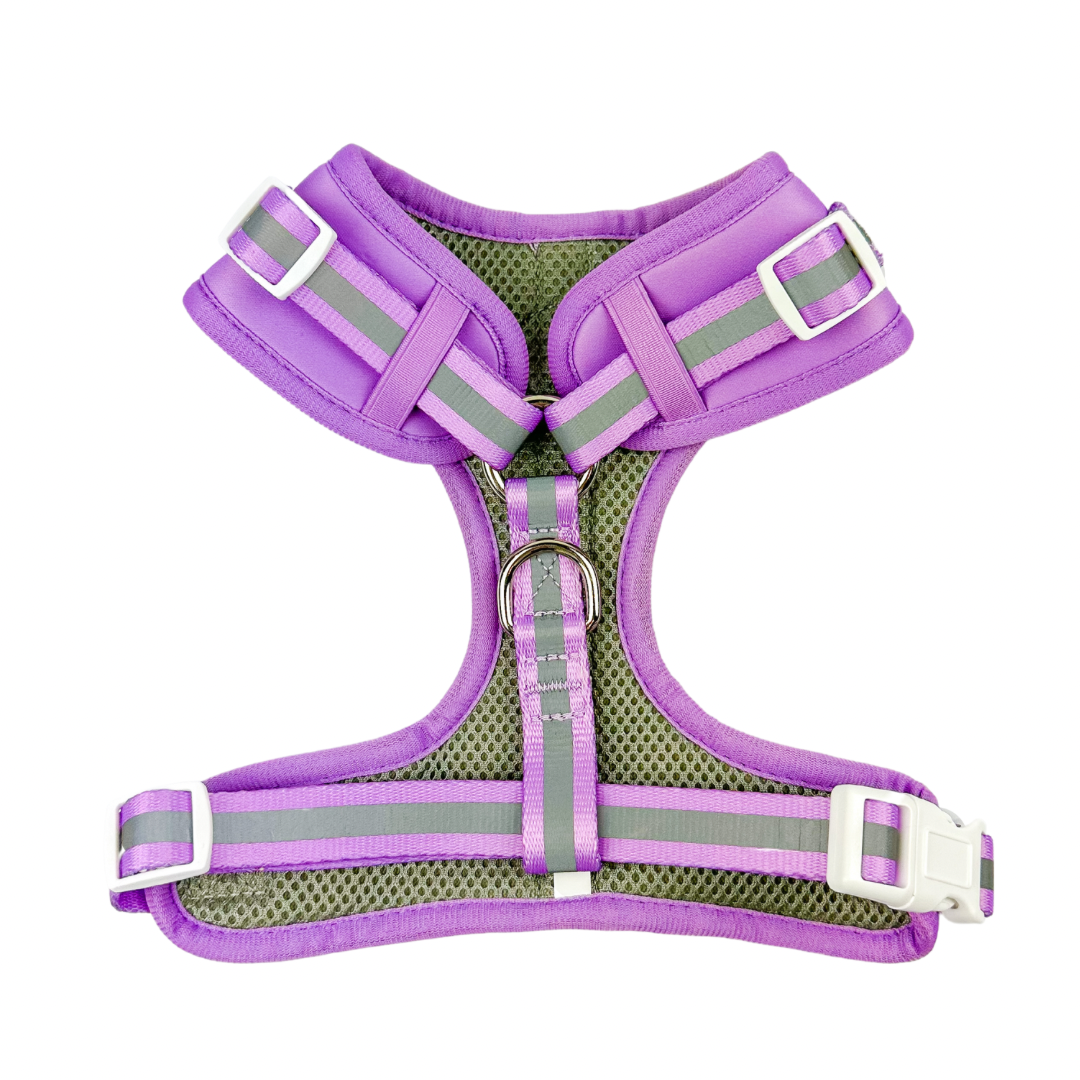 Shine Bright - Amethyst Adjustable Harness - American Bark Bliss