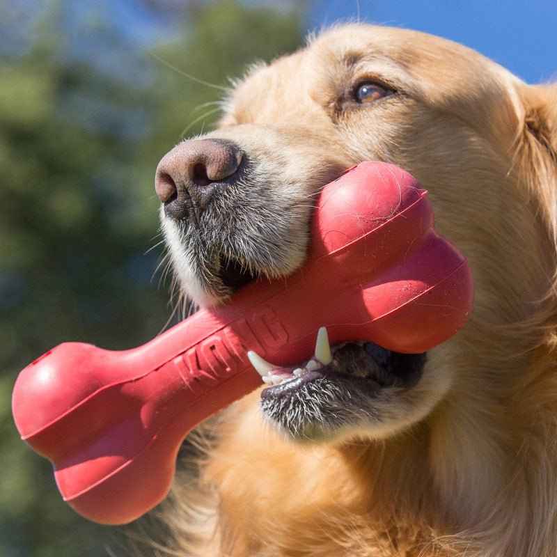 KONG Goodie Bone Rubber Dog Chew Toy, Medium