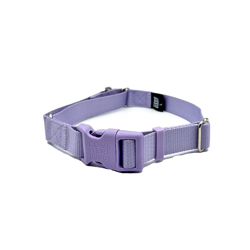 Martingale Dog Collar for Secure and Gentle Control - American Bark Bliss