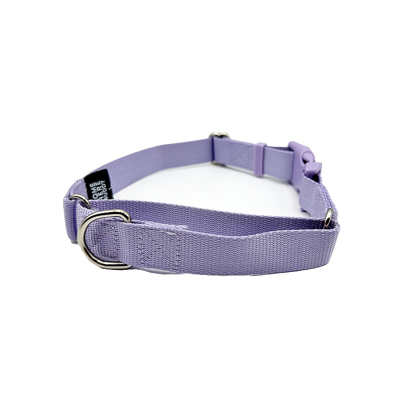 Martingale Dog Collar for Secure and Gentle Control - American Bark Bliss