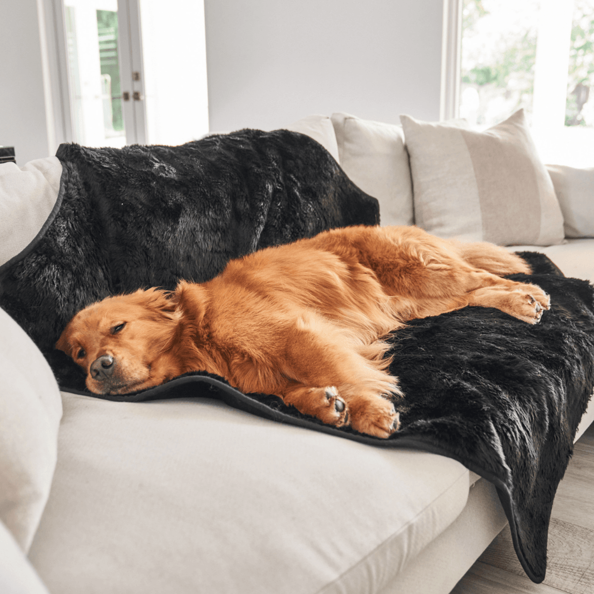 Waterproof Dog Blanket - Midnight Black Fur Throw - American Bark Bliss
