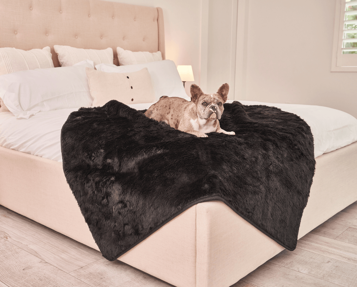 Waterproof Dog Blanket - Midnight Black Fur Throw - American Bark Bliss