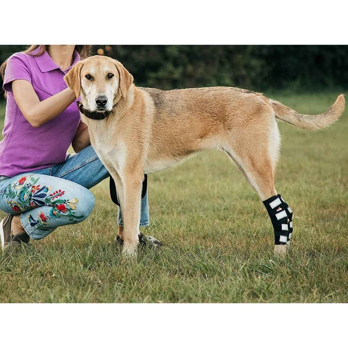 NeoAlly 3-in-1 Long Rear Leg Hock Brace - Rigid and Spring Inserts | Safety Reflective Straps [Long Version] (Pair)